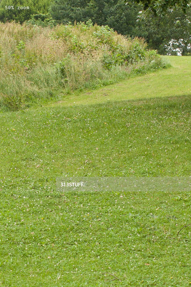 grass hills overcast