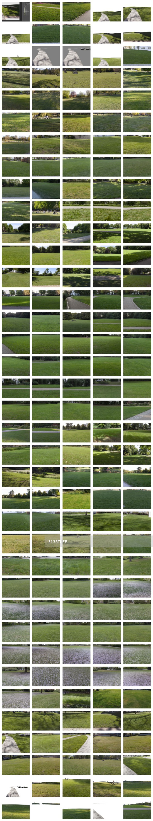 Lawn grass collection 01