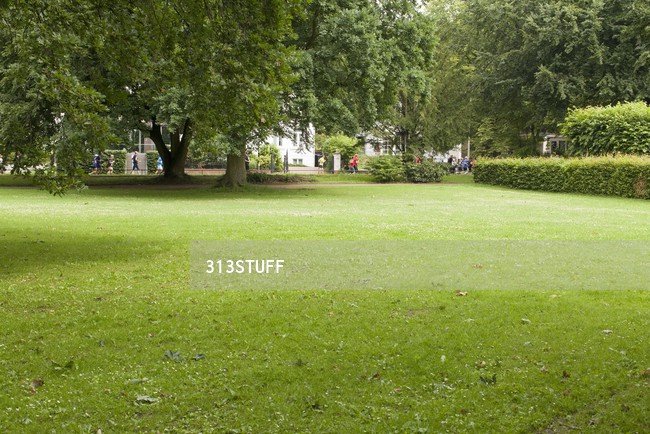 grass photos