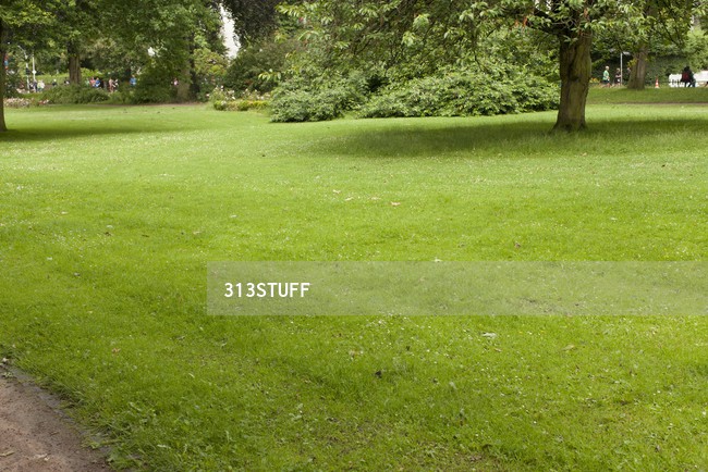 grass photos