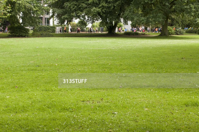 grass photos