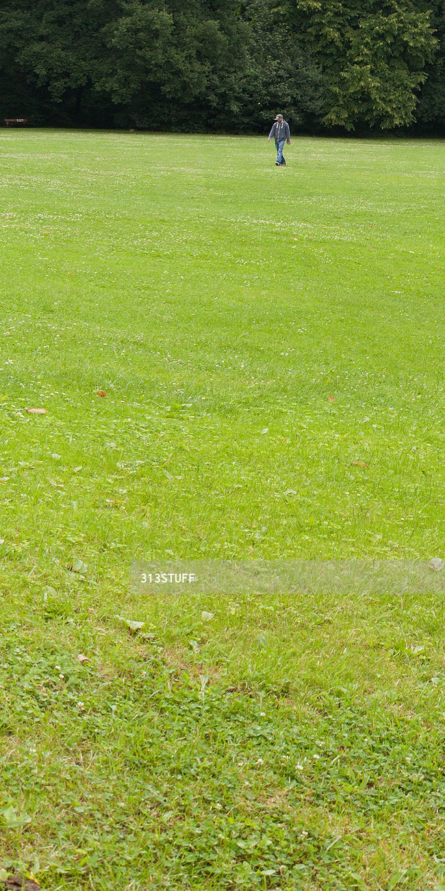 grass photos
