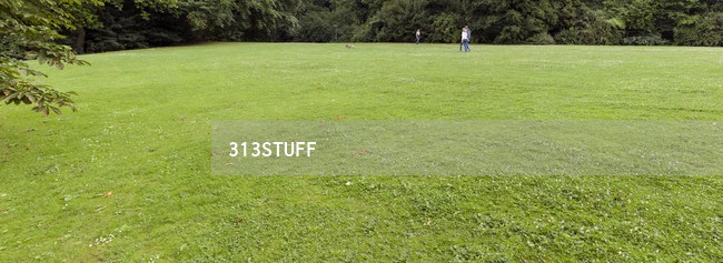 grass photos