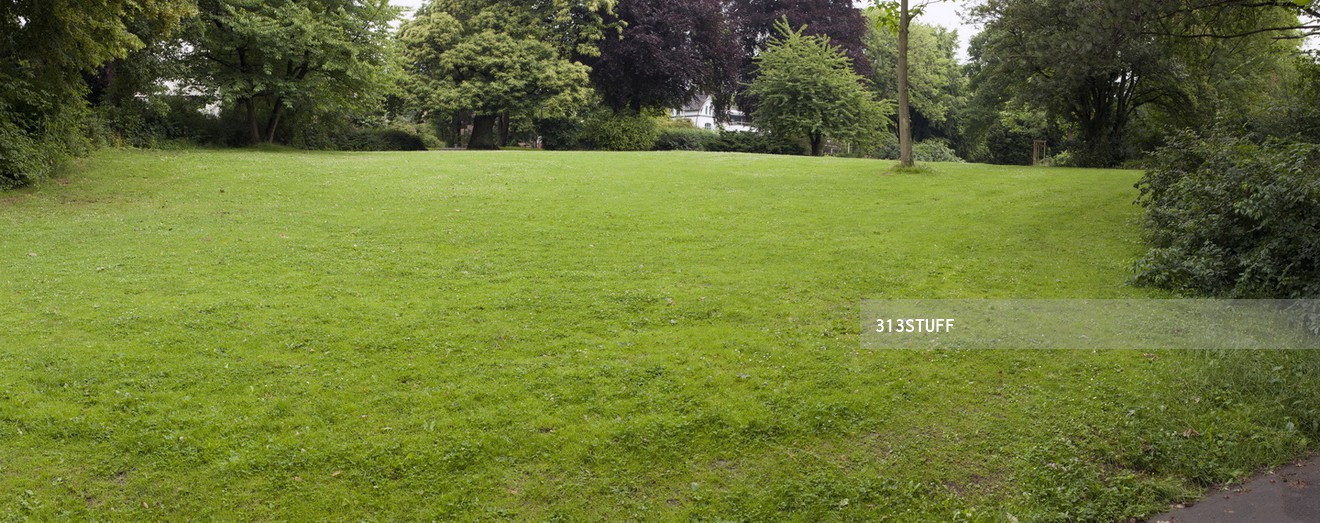 grass photos