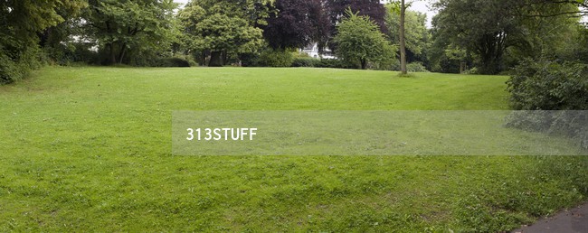 grass photos